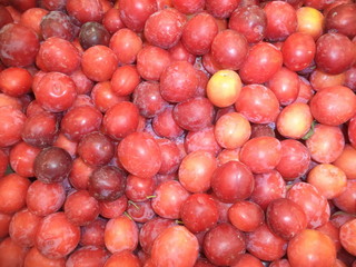 ripe cherry plum of the new crop