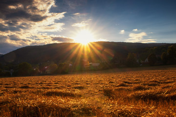 Sonnenuntergang &uuml;ber dem Feld