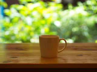Closeup White Cofee Cup  with Green leaf bokeh.