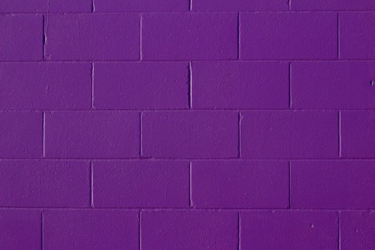 Purple Painted Concrete Block Wall