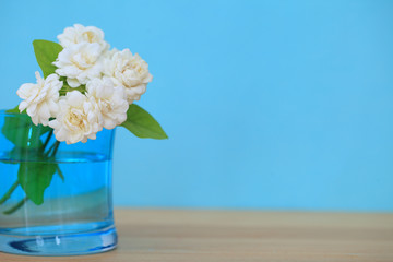 Jasmine flower in the pot on green blur background..