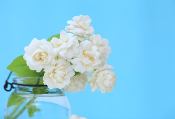 Obraz na płótnie Canvas Jasmine flower in the pot on green blur background..Copy spacce background.
