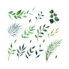 green leaves watercolor seamless pattern vector