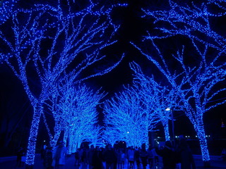 代々木公園　イルミネーション　青の洞窟