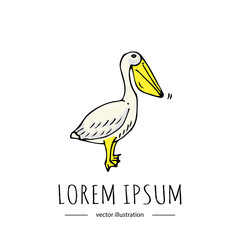 Hand drawn doodle Pelican icon isolated on white background. Vector illustration. Zoo related icon - Colorful bird. Sketchy element. Cartoon wild animal Wing Beak neck, legs fins