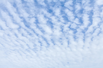Wavy, porous curly clouds on the blue sky.