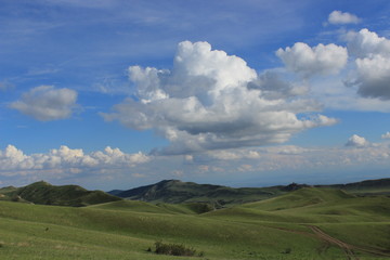 the green desert in georgia