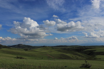 the green desert in georgia