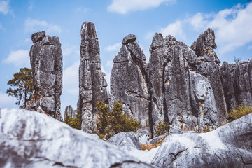 Fototapeta na wymiar Stone forest, rock formations in Yunnan, China