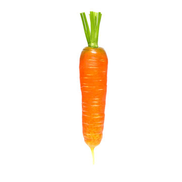 Морковь изолированная на белом фоне