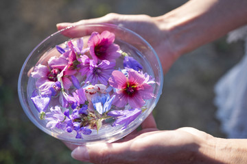 plant tinctures and flower