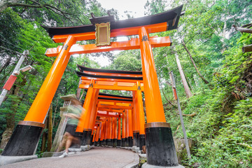 Torii gates with blurred tourist
