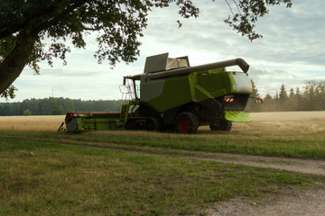 M&auml;hdrescher bei der Ernte