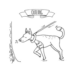 Hand drawn doodle image of cute dog on a leash sniffing tree icon Vector illustration set. Cartoon normal everyday home pets activities symbol. Sketchy curious puppy walk