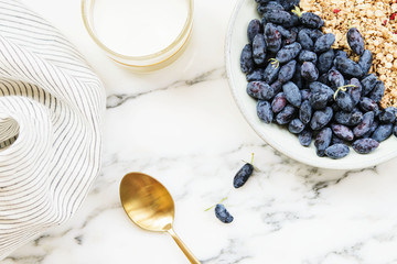 Fresh ripe honeysuckle berries and muesli in a ceramic bowl and cup of milk on a grey marble table. Healthy breakfast