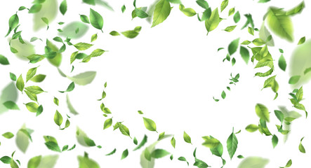 Fototapeta premium Green Flying Leaves