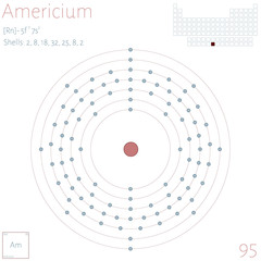 Infographic of the element of Americium.