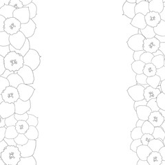 Daffodil - Narcissus Flower Outline Border