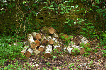 Log Pile