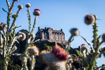 Castle on the hill
