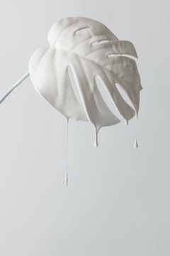 White painted monstera tropical leaf with dripping paint