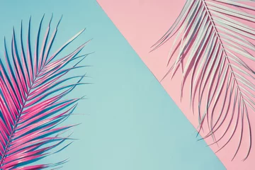 Tropischer heller bunter Hintergrund mit exotisch gemalten tropischen Palmblättern. Minimales Modesommerkonzept. Flache Idee © Zamurovic Brothers