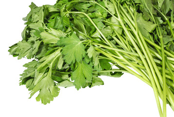 Heap of fresh parsley on white .