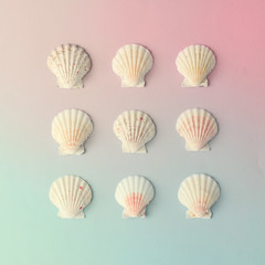 Creative seashell pattern on gradient pastel pink and blue background. Summer flat lay.