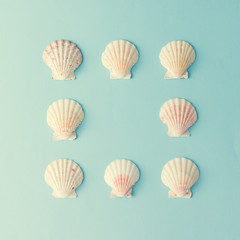 Creative seashell pattern on pastel blue background with copy space. Summer flat lay.