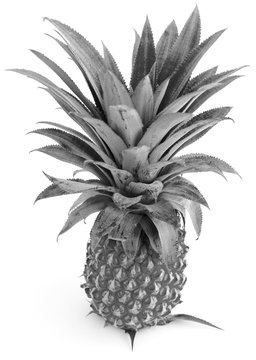  ananas en noir et blanc