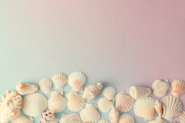 Creative seashell pattern on gradient pastel pink and blue background. Summer flat lay.