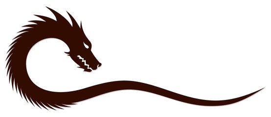 A Dragon Symbol. 