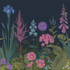 Twilight garden. Seamless border. Vector vintage illustration. Pink, violet, blue, purple garden flowers © OlgaKorneeva