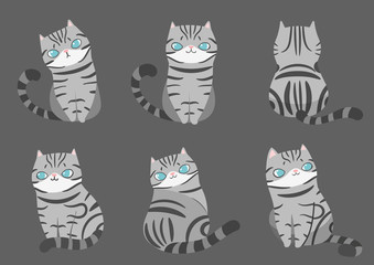 Fototapeta na wymiar Set of grey striped color tabby cats in different poses on grey background. Vector illustration character design.