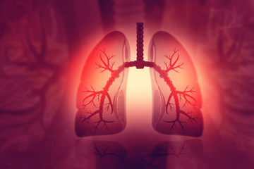 Human lungs on scientific background