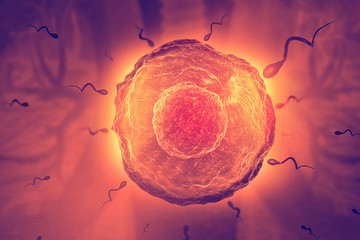 Sperm and egg cell on scientific background