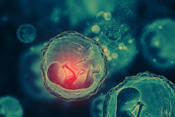Human fetus on scientific background