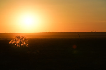 Landscape at sunset, Namibia