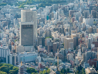 Fototapeta premium 東京 浅草 街並み