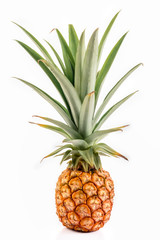 Fototapeta premium pineapple isolated on white background