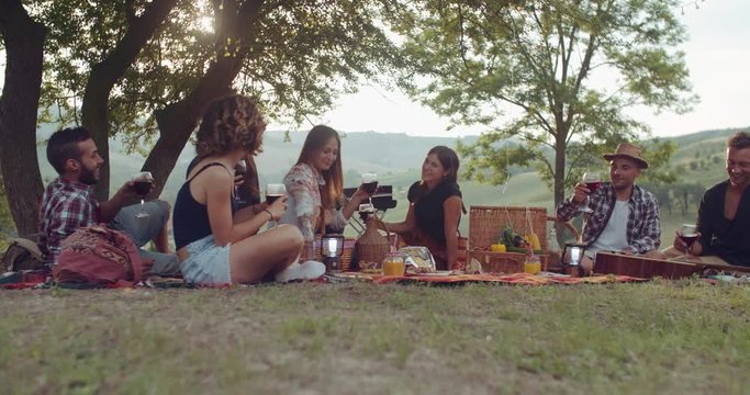 gruop of friends cheering togetherness during the pic nic. shot in slow motion
