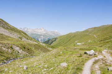 Muottas Muragl, Wanderweg, Panoramaweg, Ova da Muragl, Alp Mural, Bergwiesen, Alpenkr&auml;uter, Oberengadin, Alpen, Graub&uuml;nden, Sommer, Schweiz