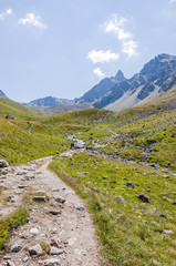 Muottas Muragl, Val Muragl, Wanderweg, Panoramaweg, Schafberg, Klimaweg, Alpen, Oberengadin, Graubünden, Sommer, Schweiz