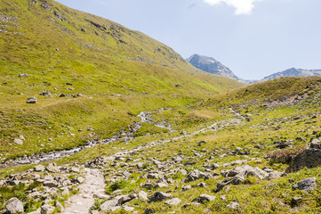 Fototapeta na wymiar Muottas Muragl, Val Muragl, Wanderweg, Panoramaweg, Alpen, Oberengadin, Graubünden, Sommer, Schweiz