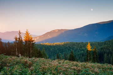 Great hills and picturesque scene of the alpine valley.