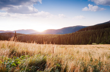 Great hills and picturesque scene of the alpine valley.