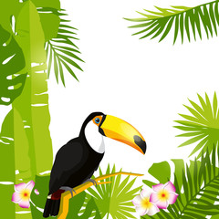 Tropical summer design template. Toucan vector illustration card