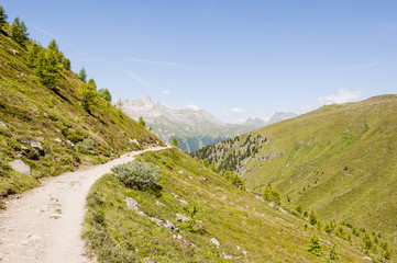 Obraz premium Muottas Muragl, St. Moritz, Val Muragl, Wanderweg, Panoramaweg, Alpen, Oberengadin, Graubünden, Sommer, Schweiz