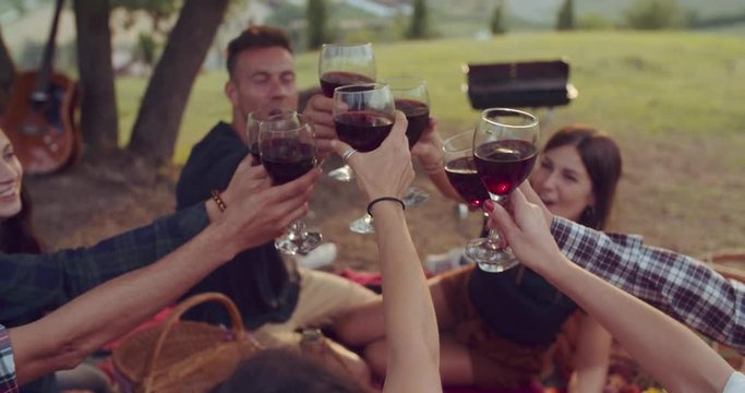 gruop of friends cheering togetherness during the pic nic. shot in slow motion