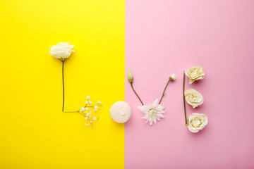 Inscription Love by flowers and macaron on colorful background